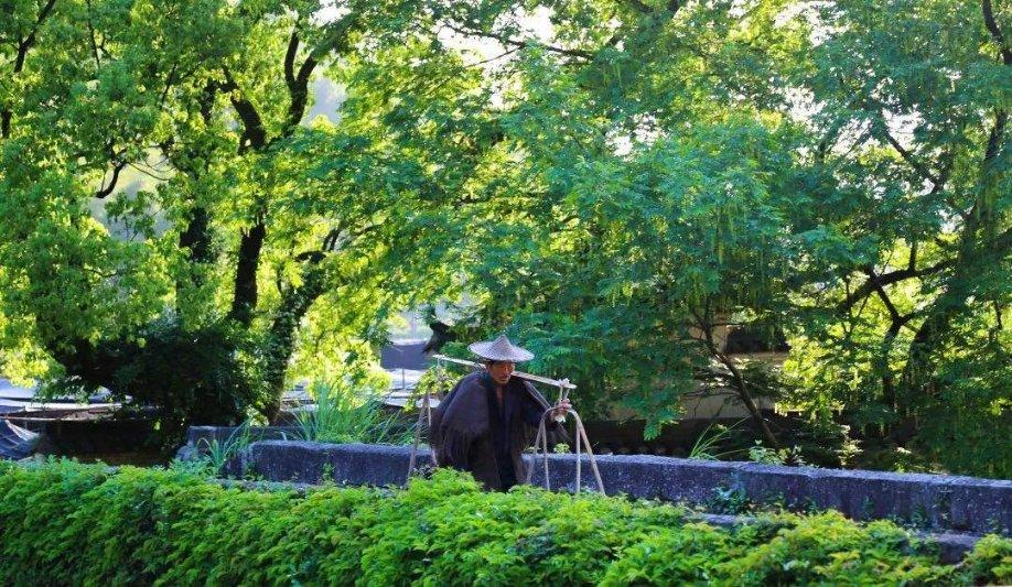 有个疑问求大家解决啊,疤痕植发什么时候做植发比较好?-专业的问答类网站